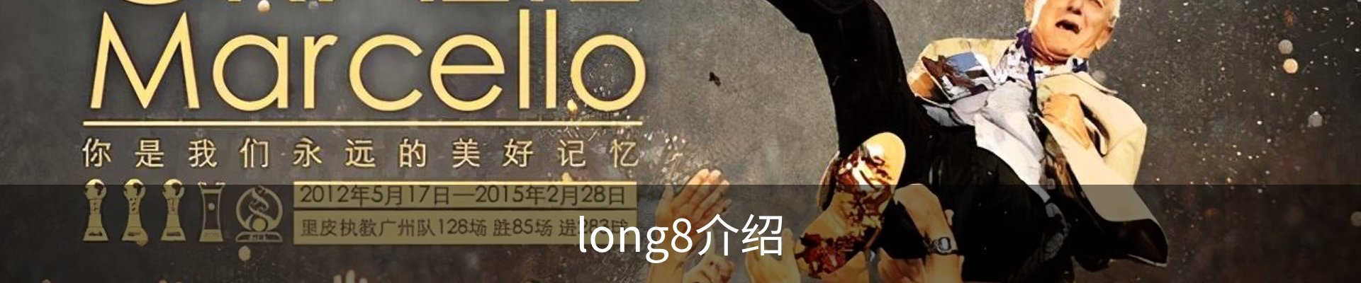 long8介绍